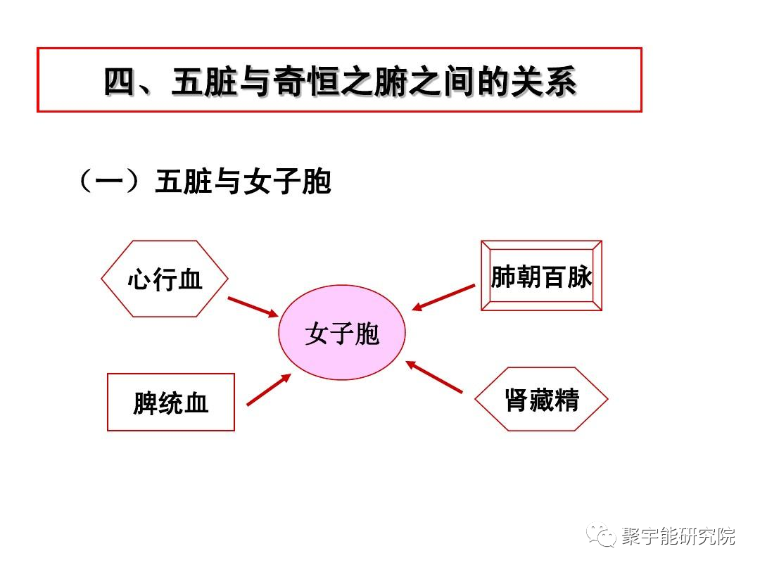 金日光教授:女子胞(子宫)和睾丸(男精室)【人类器官组织的阴阳精及精气分布之内秘•五】(图2) 2.png