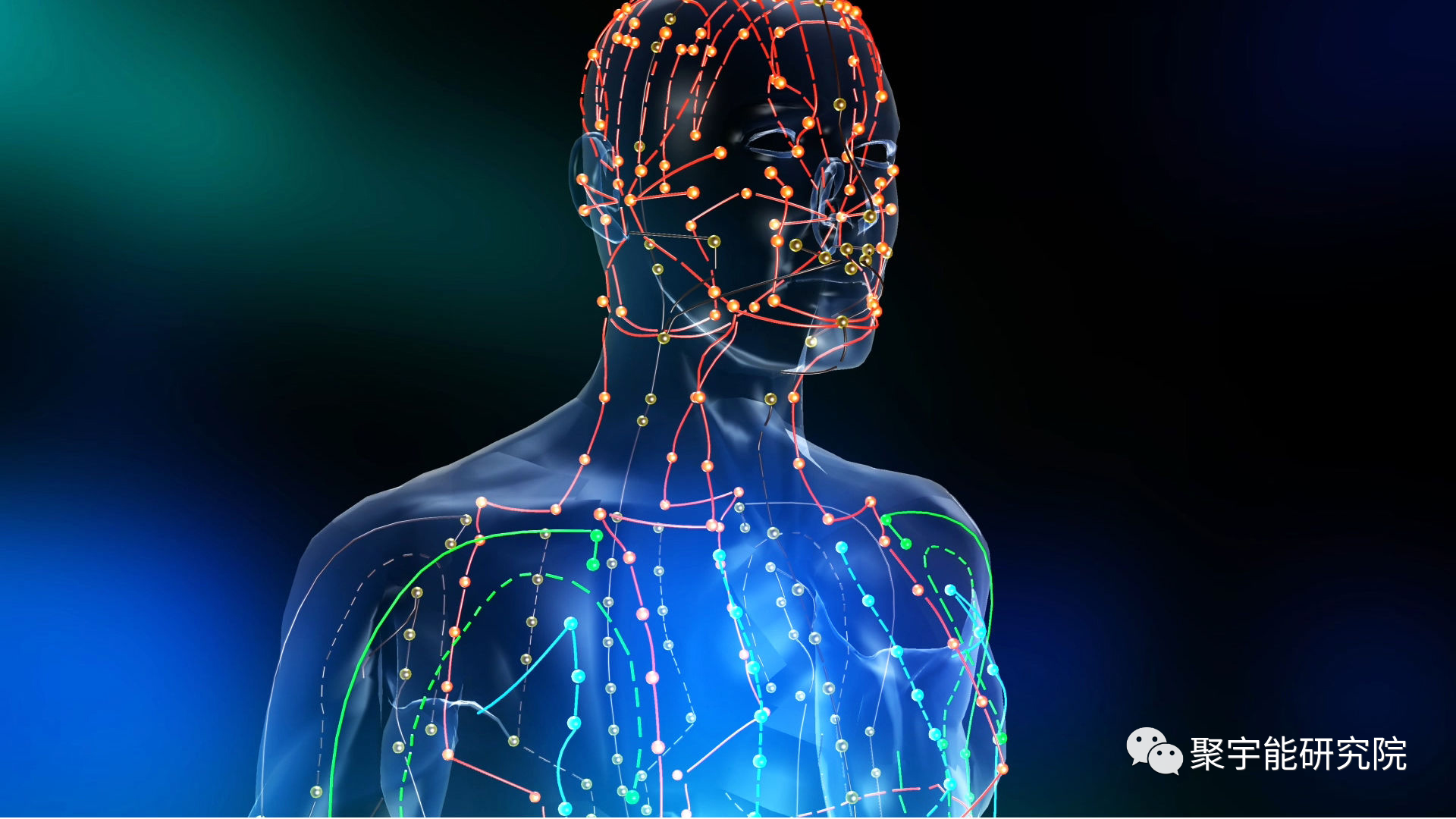 金日光教授:人类身上有多少个系统?【人类器官组织的阴阳精及精气分布之内秘•七】(图13) 13.png