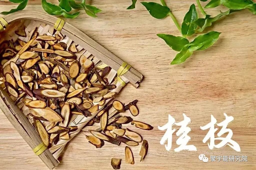 金日光教授:什么中药材有可能是胰腺的天赋<特供药>?【人类器官组织的阴阳精及精气分布之内秘•九】(图2) 2.jpg