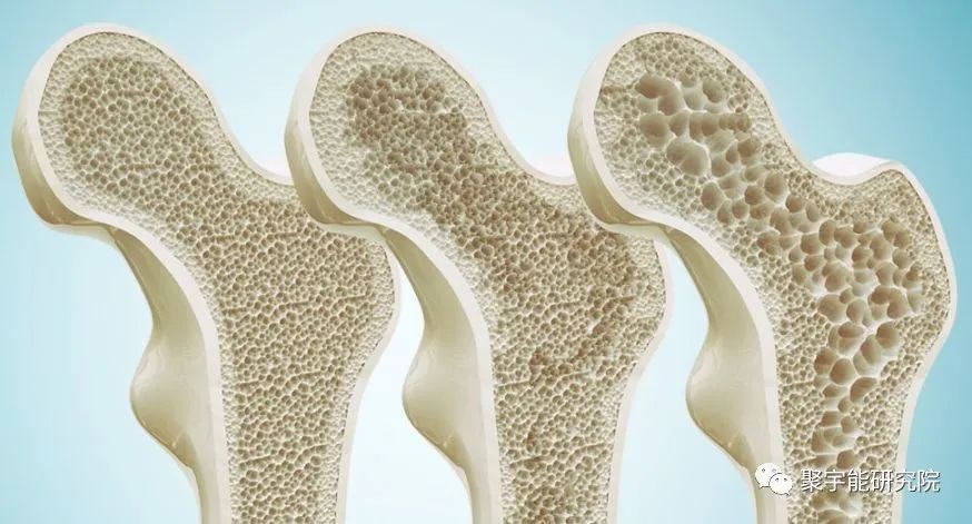 金日光教授:<奇恒之腑>之——人骨的阴阳问题【人类器官组织的阴阳精及精气分布之内秘•之十一】(图1) 1.jpg
