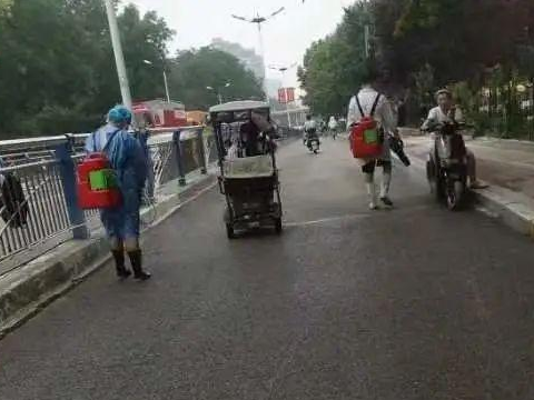 涿州城区退洪后,街头现动物尸体!疾控:将大面积消杀(图2) 2.png