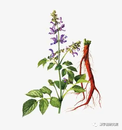 金日光教授:【漫谈《黄帝内经》•之三】用中药及聚宇能生命动力水,从根本上来解决我国亿万心脑血管病人之根源一一血液瘀堵!(图5) 5.png