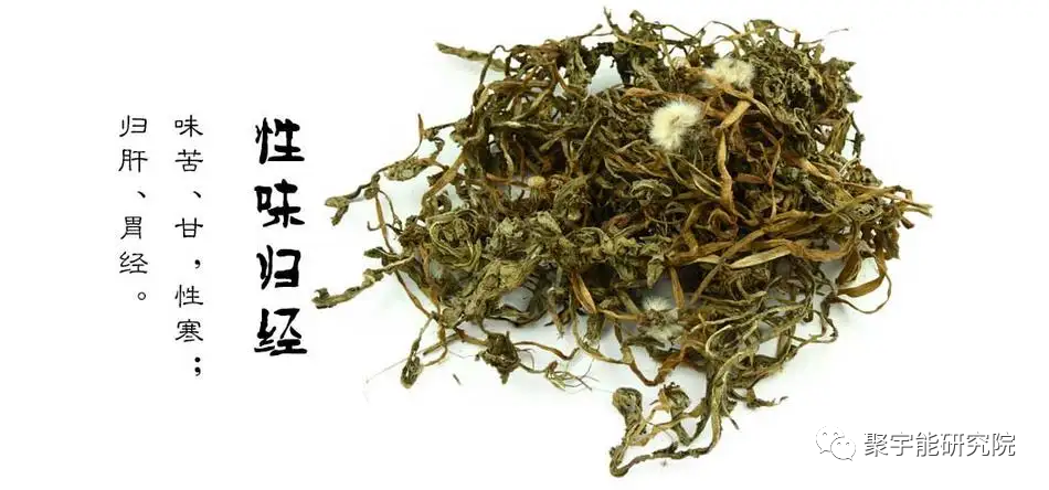 金日光教授:【《黄帝内经》漫谈•之六】林佳媚主任很想知道女性乳腺癌里生命动力阴阳源精分布(图11) 11.png