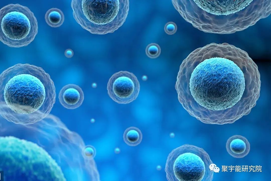 金日光教授:【《黄帝内经》漫谈•之八】钱老说中医也要懂点细胞里的阴阳精及精气分布(图1) 27.jpg