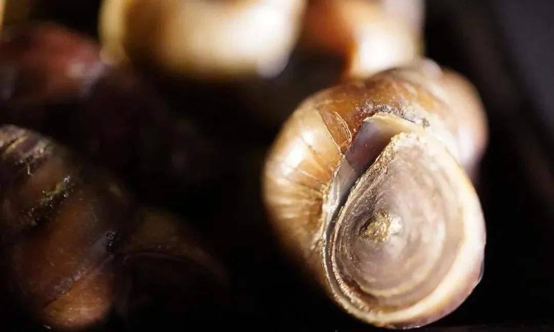 其实有些生物交配的过程很痛苦的,你了解吗?(图3) 4.jpg