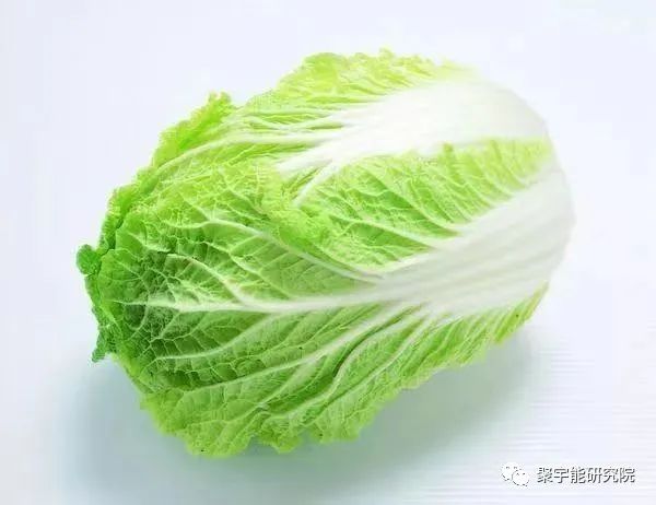 金日光教授:【《黄帝内经》漫谈•之十三】一些蔬菜怎么能清肺?(图5) 41.jpg