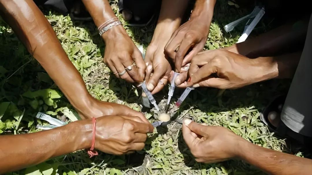 鸦片合法化?中国这个邻国竟有人如此要求了!(图1) 3.jpg