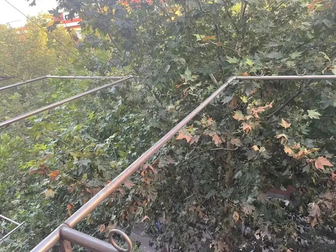 女子在朋友的租借房中纵火身亡,损失谁赔?(图4) 9.jpg