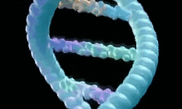 金日光教授:【《黄帝内经》漫谈•之十九】再论《黄帝内经》里<气>之<一气耳!>(图5) 3800.gif