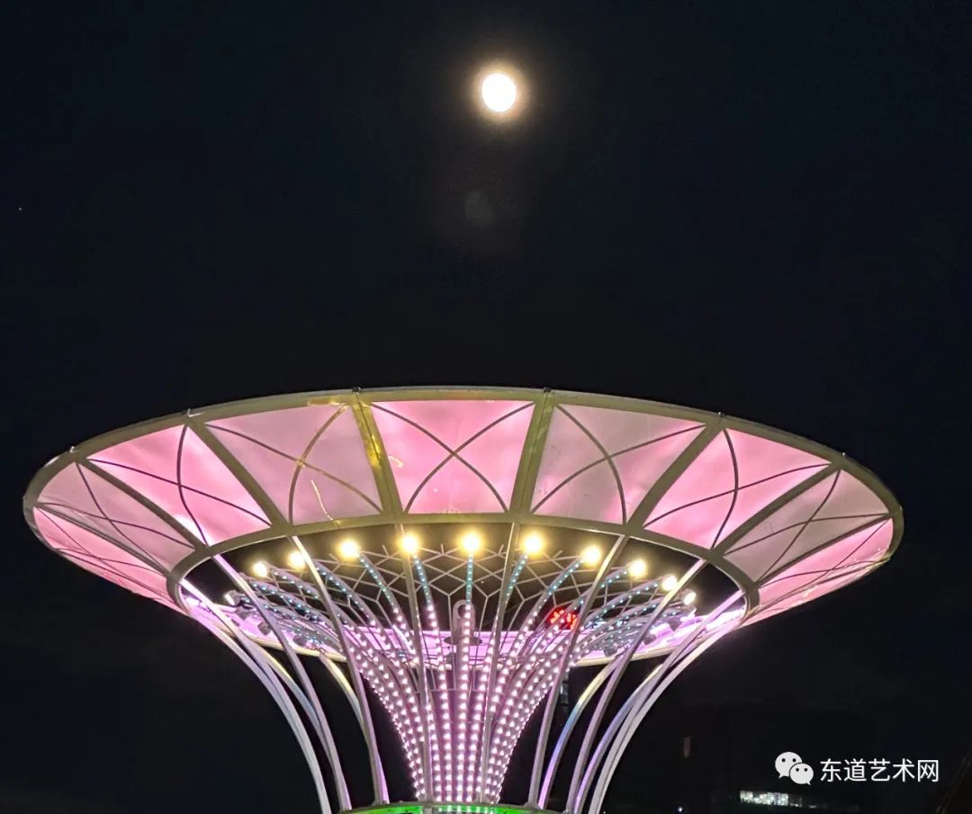 公园夜形象,光影共争辉一一岑国荣摄影(图2) 2.jpg