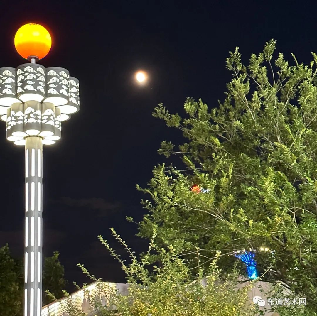 公园夜形象,光影共争辉一一岑国荣摄影(图7) 7.jpg