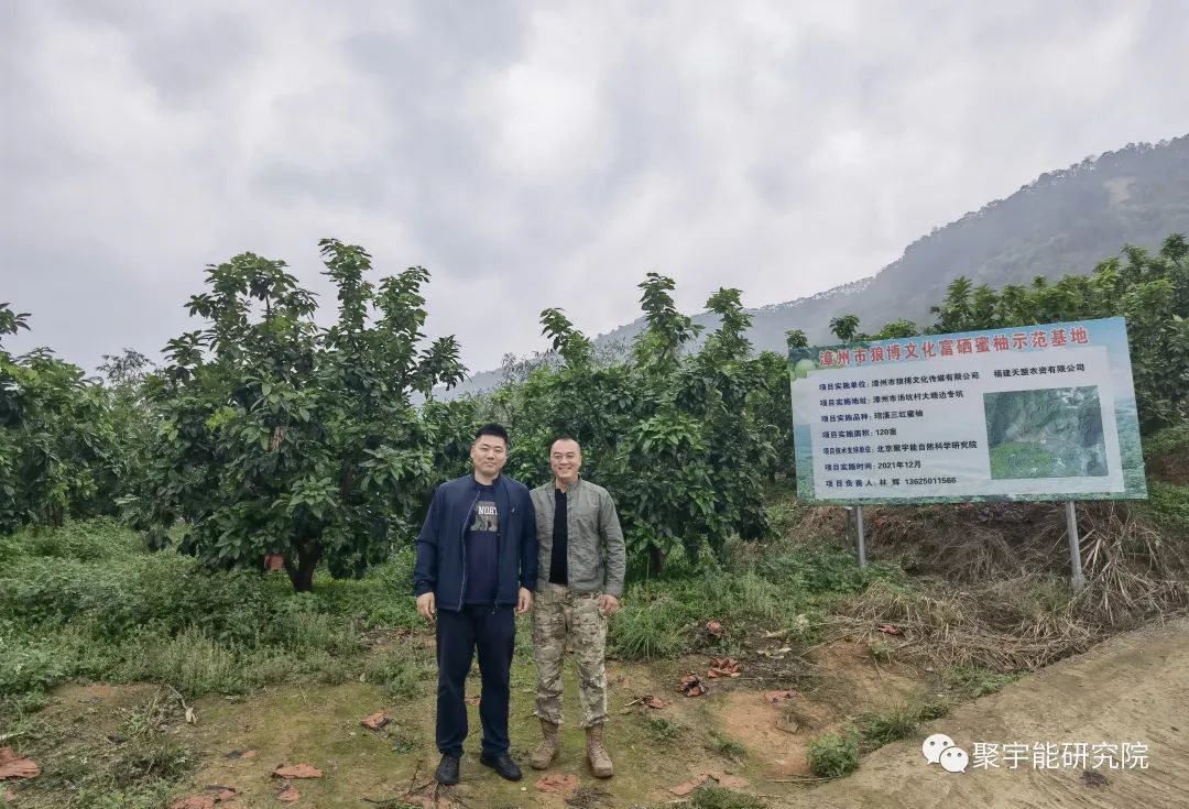 金日光教授:【《黄帝内经》漫谈•之二十三】(二十三)群友问为什么<柚子为橘中之首>?柚子还能高富有机硒 ?(图8) 25.jpg