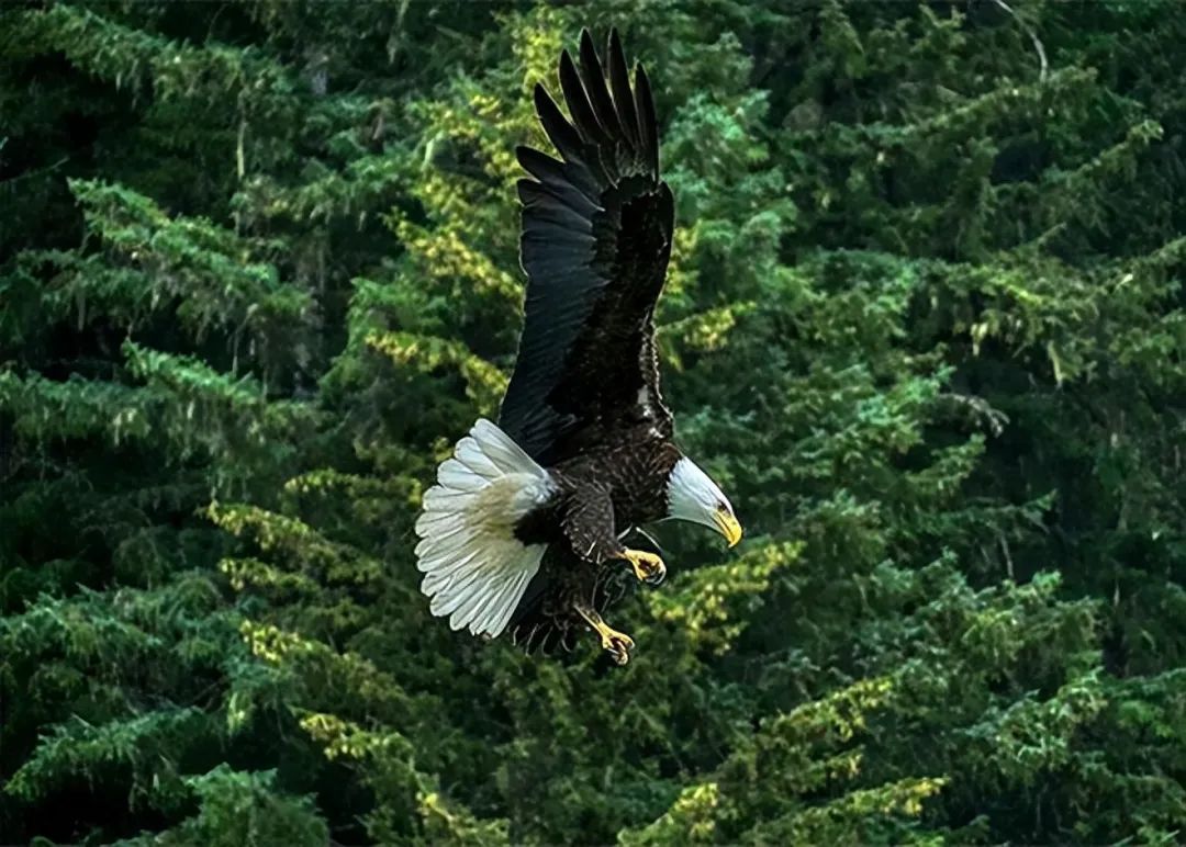 18个难以置信的事实,别不信,都是真实的(图5) 21.jpg