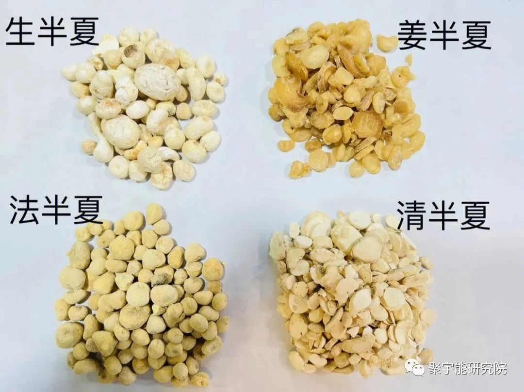 金日光教授:【《黄帝内经》漫谈•之二十六】脑癌能否能诊治?(图3) 3.jpg