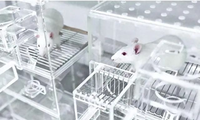 人类能在太空中进行性活动吗?听首例上太空的夫妻怎么说:太难了(图5) 23.jpg