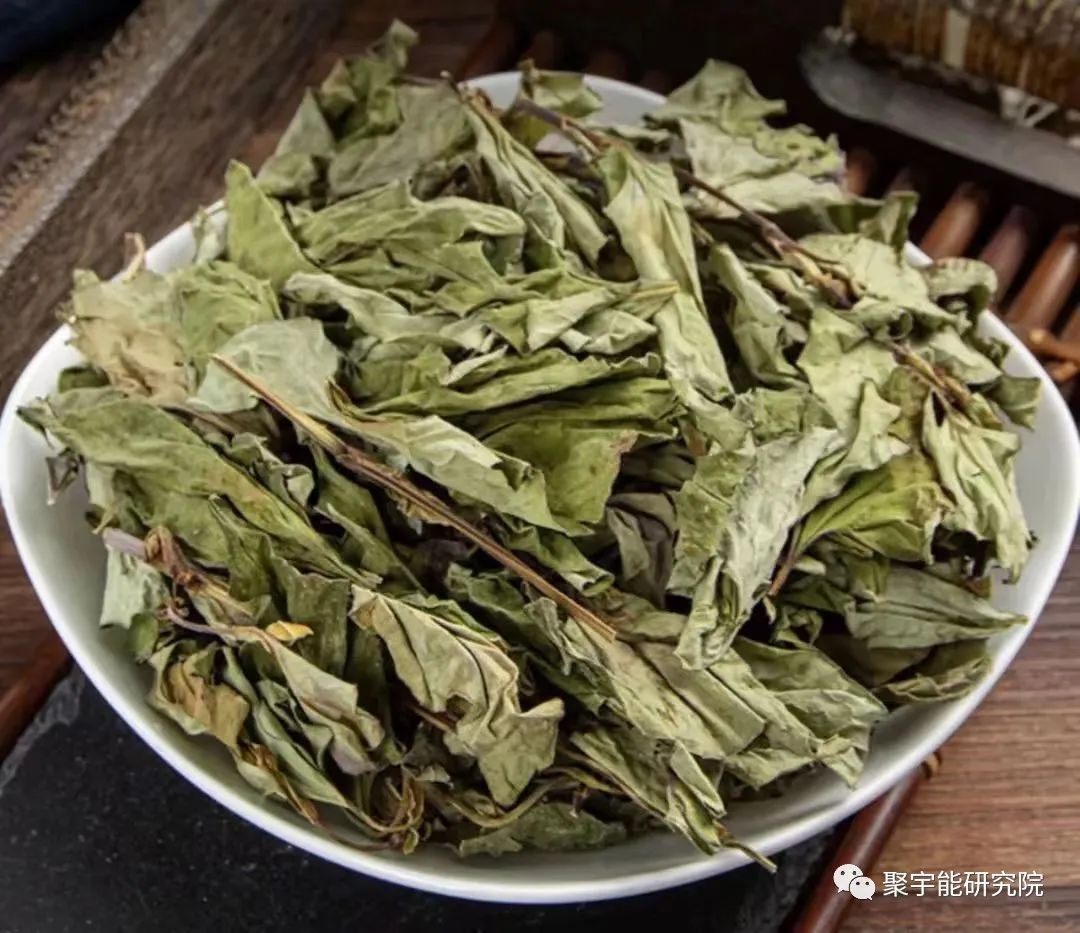 金日光教授:【《黄帝内经》漫谈•之三十】有些群友问为何鱼腥草能治核污染之伤?(图5) 24.jpg