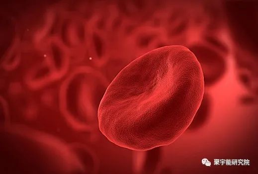 金日光教授:【《黄帝内经》漫谈•之三十一】现在食品里几乎没有生命动力源精了!(图3) 27.jpg