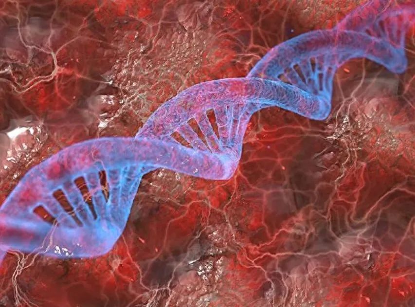 黄种人黑种人和白种人能自由交配,为何人类之间不存在生殖隔离?(图5) 11.jpg