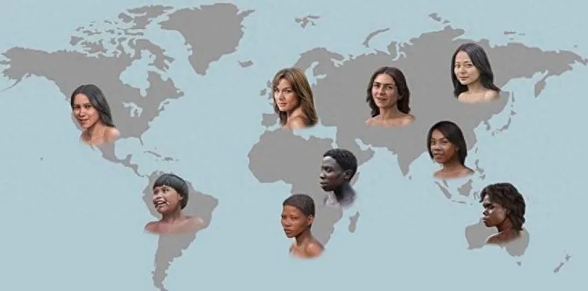 黄种人黑种人和白种人能自由交配,为何人类之间不存在生殖隔离?(图10) 16.jpg