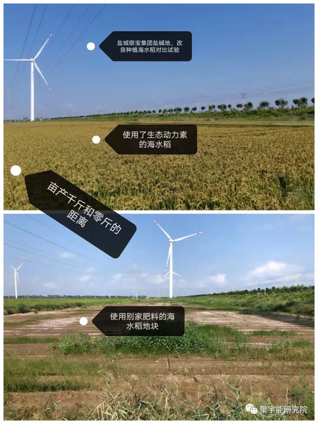 金日光教授:【漫谈《黄帝内经》•之三十六】在生命的演化过程中,真有生命动力源吗?(图1) 2.jpg