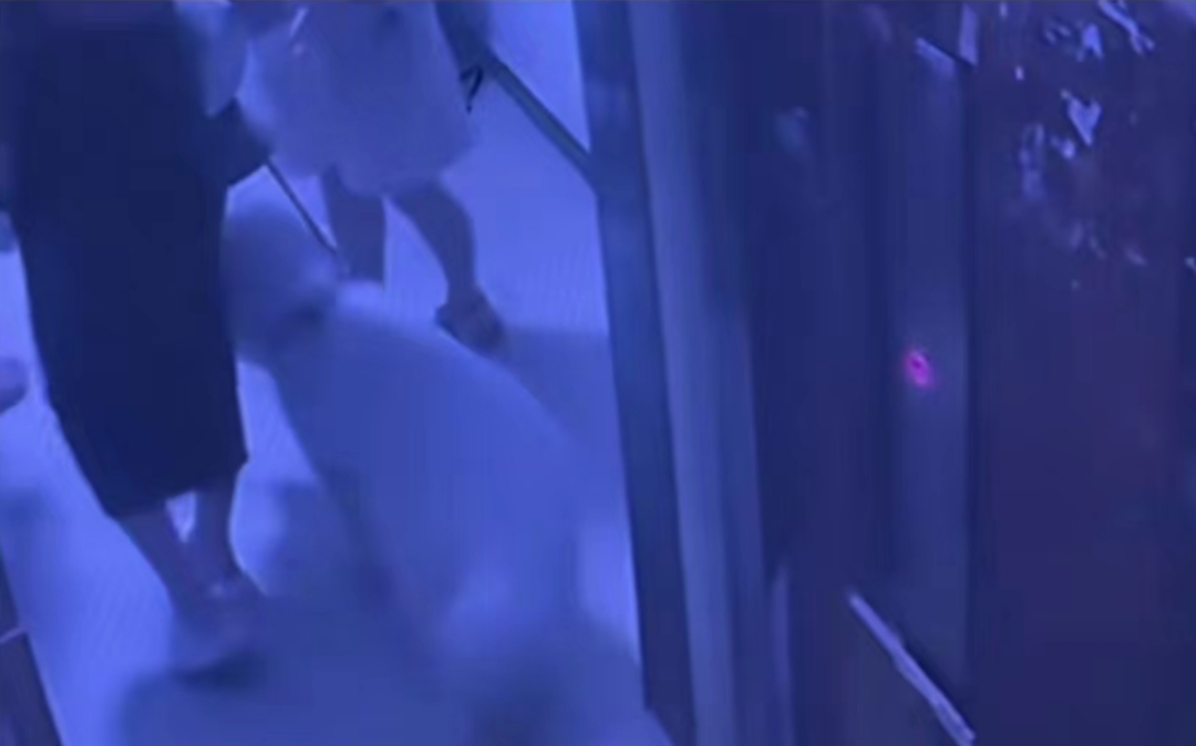 女子牵狗进电梯称遭殴打,四川警方通报详情(图1) 8.png