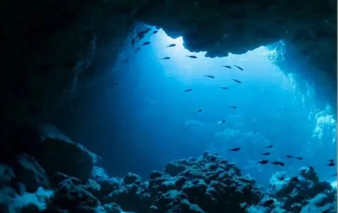 16个难以置信的事实,别不信,每一个都是真实的(图1) 11.jpg