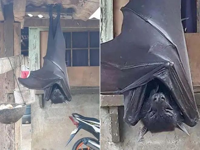 16个难以置信的事实,别不信,每一个都是真实的(图4) 14.jpg