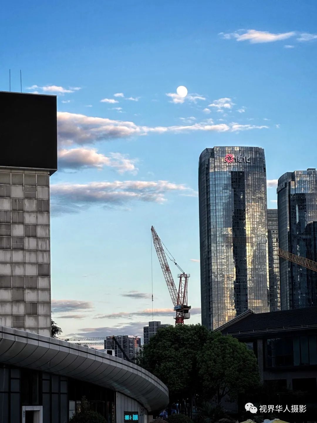 月光 月饼 月桂一一中秋佳节倍思亲(图1) 10.jpg