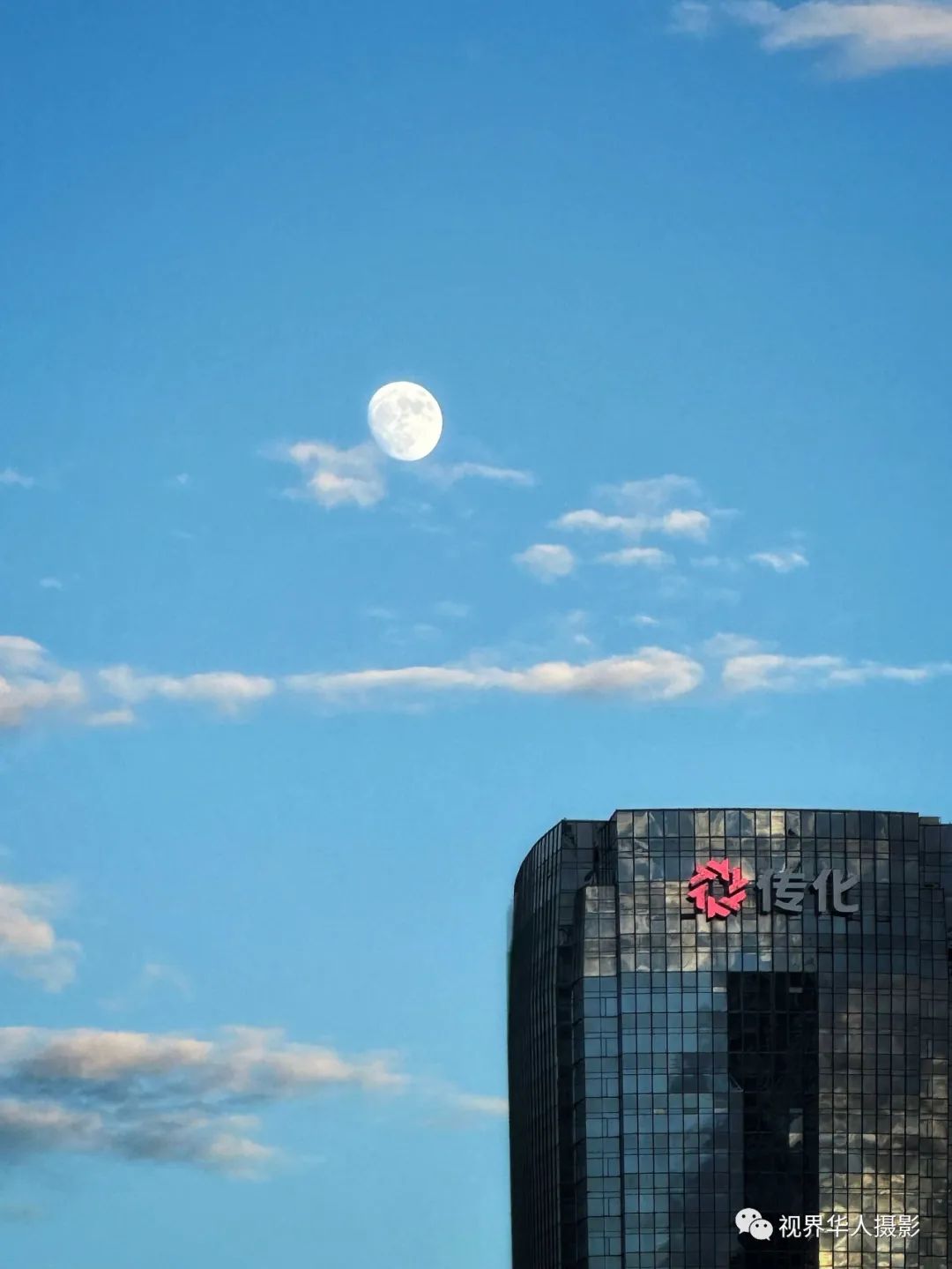 月光 月饼 月桂一一中秋佳节倍思亲(图2) 11.jpg