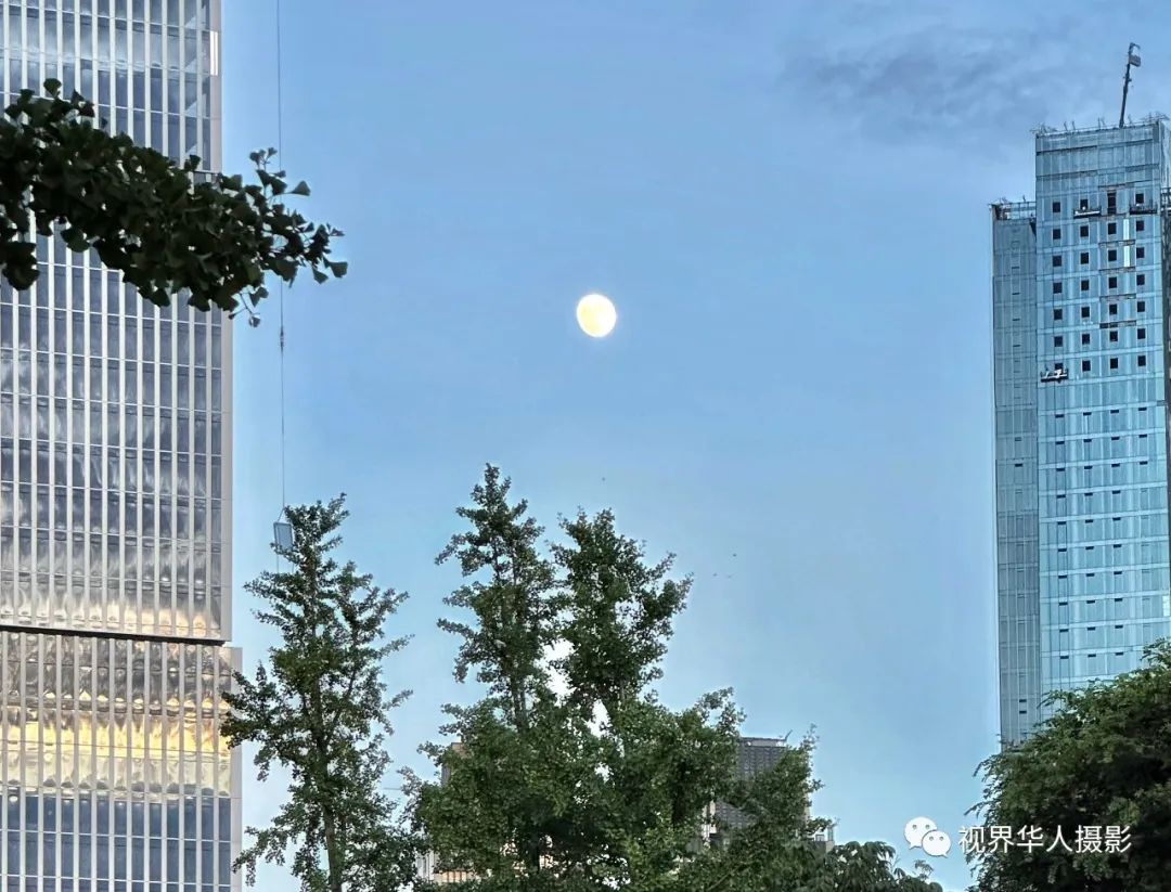 月光 月饼 月桂一一中秋佳节倍思亲(图4) 13.jpg