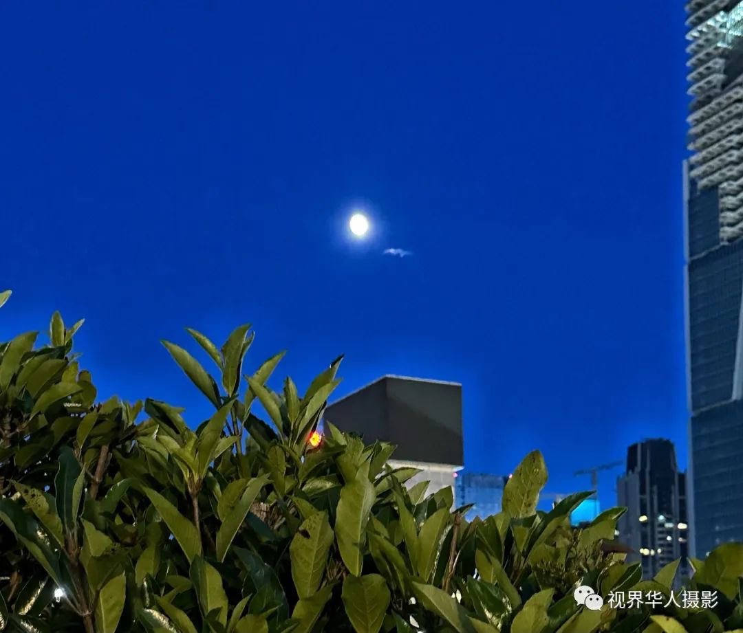 月光 月饼 月桂一一中秋佳节倍思亲(图6) 15.jpg