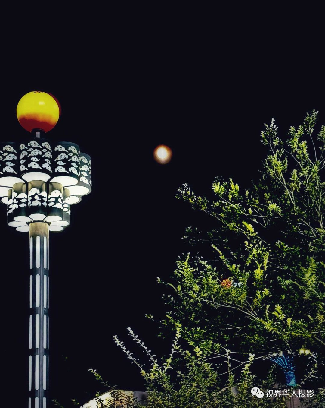 月光 月饼 月桂一一中秋佳节倍思亲(图8) 17.jpg