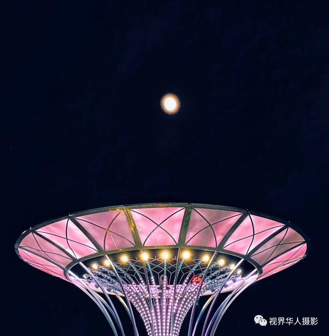 月光 月饼 月桂一一中秋佳节倍思亲(图9) 18.jpg