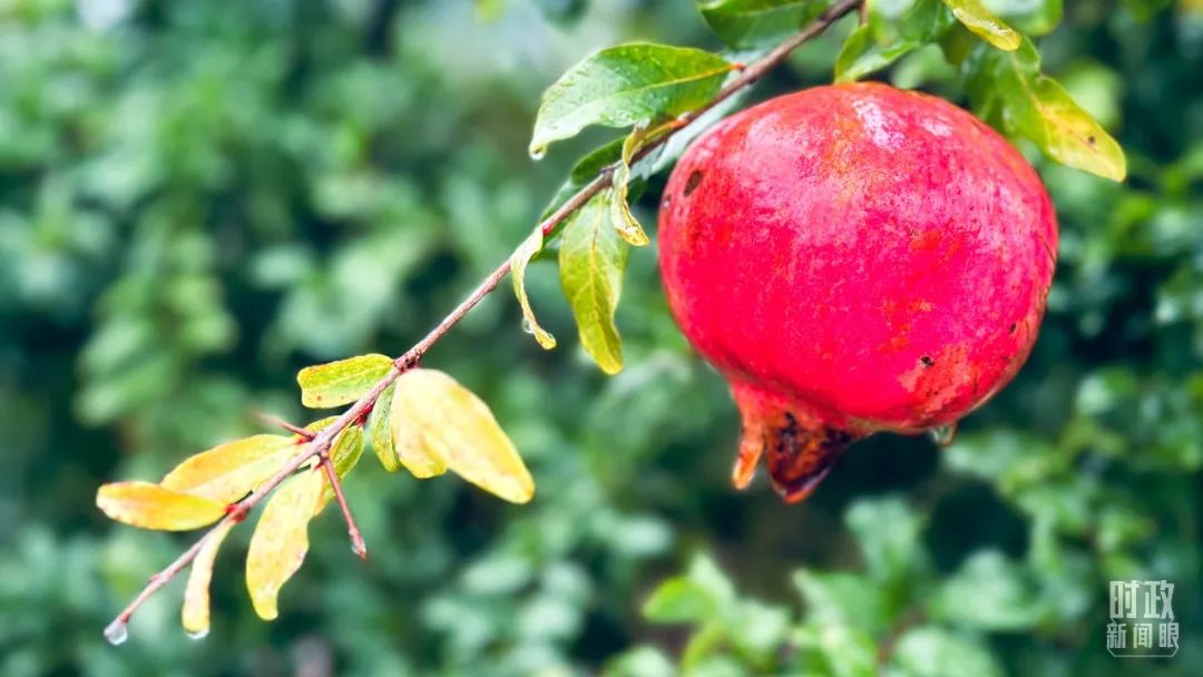 在国庆招待会上,习近平强调“团结就是力量,信心赛过黄金”(图8) 21.jpg