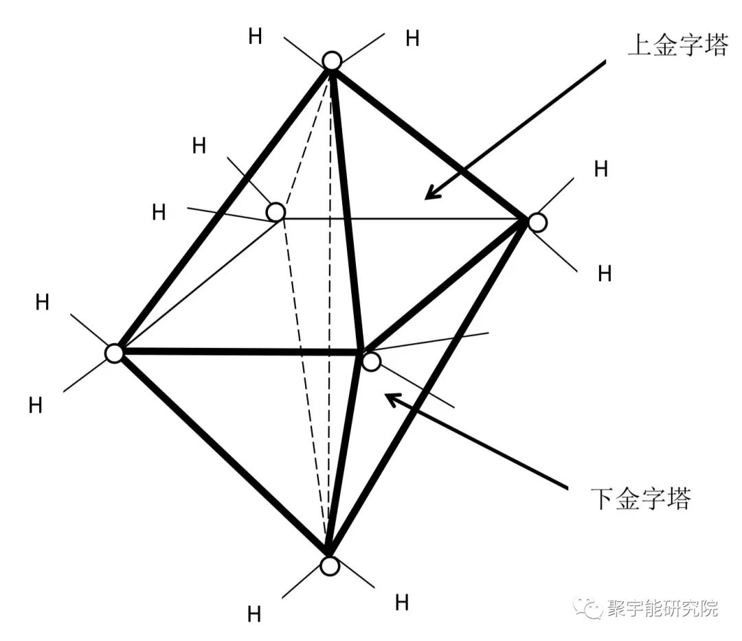 金日光教授:【漫谈《黄帝内经》•之四十】太岁(肉灵芝)在水里长的怎样?(图2) 47.jpg
