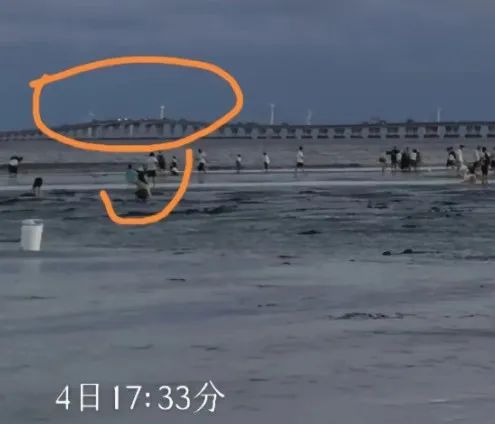 4岁女童失踪,网友为何不肯原谅她的父亲?(图6) 19.jpg