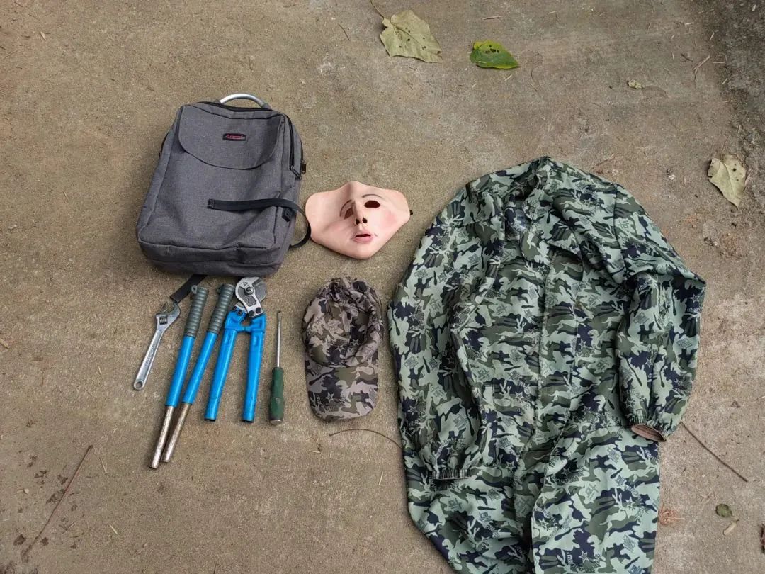 “易容术”现江湖?河南男子戴“人皮面具”盗窃(图5) 5.jpg