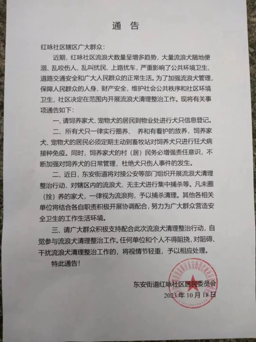 一只宠物狗伤人,所有流浪动物都该死?(图2) 21.jpg