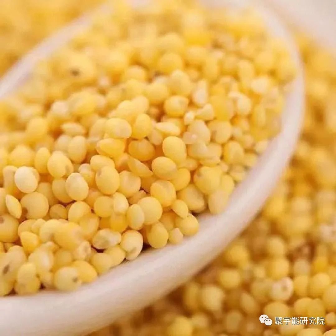 金日光教授:【《黄帝内经》漫谈•之五十六】2000多年前《黄帝内经》怎么能说五谷分别营养五脏?(图2) 02.jpg