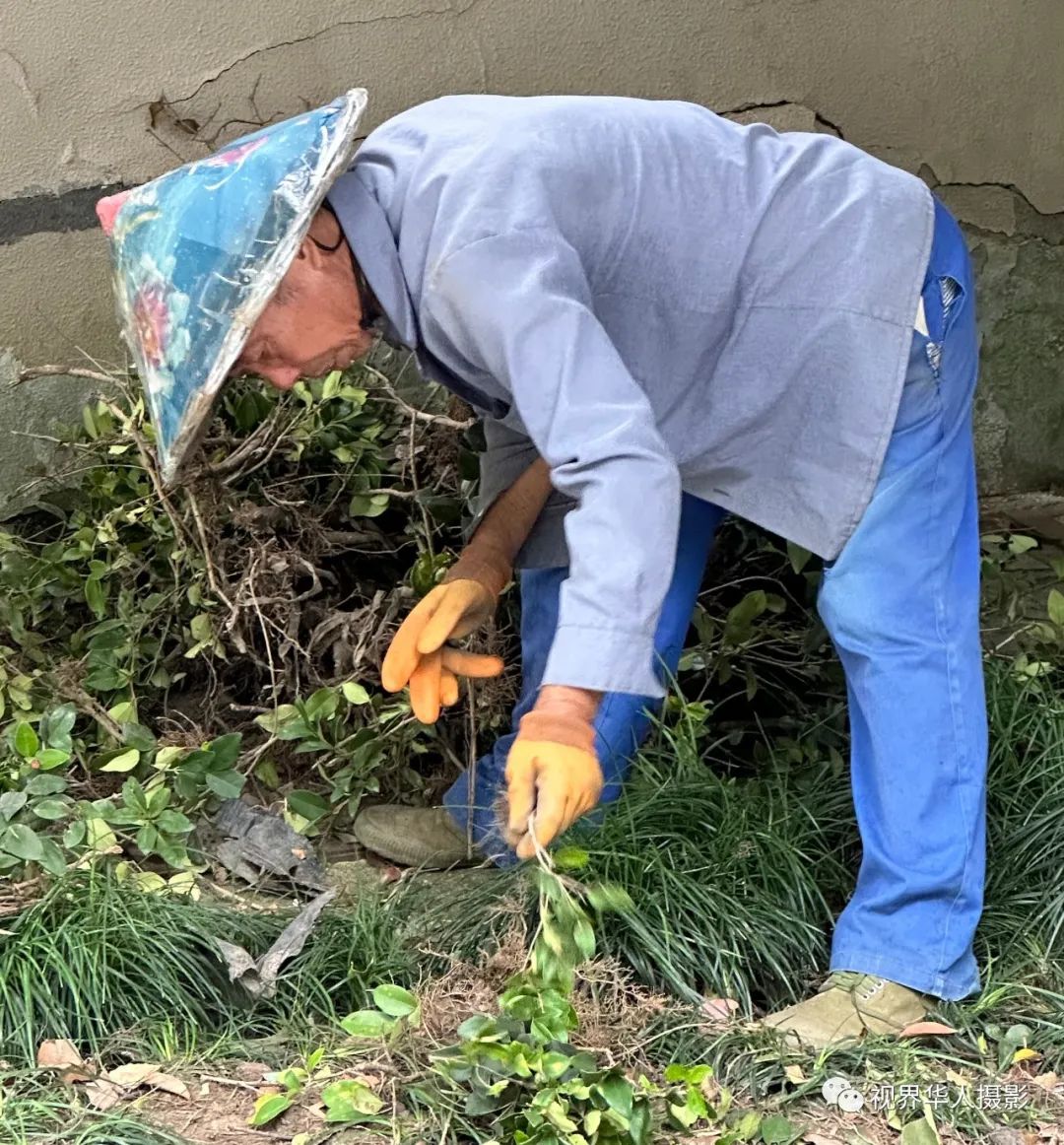 城市美容师:忙碌的身影和多彩的工具(图12) 12.jpg