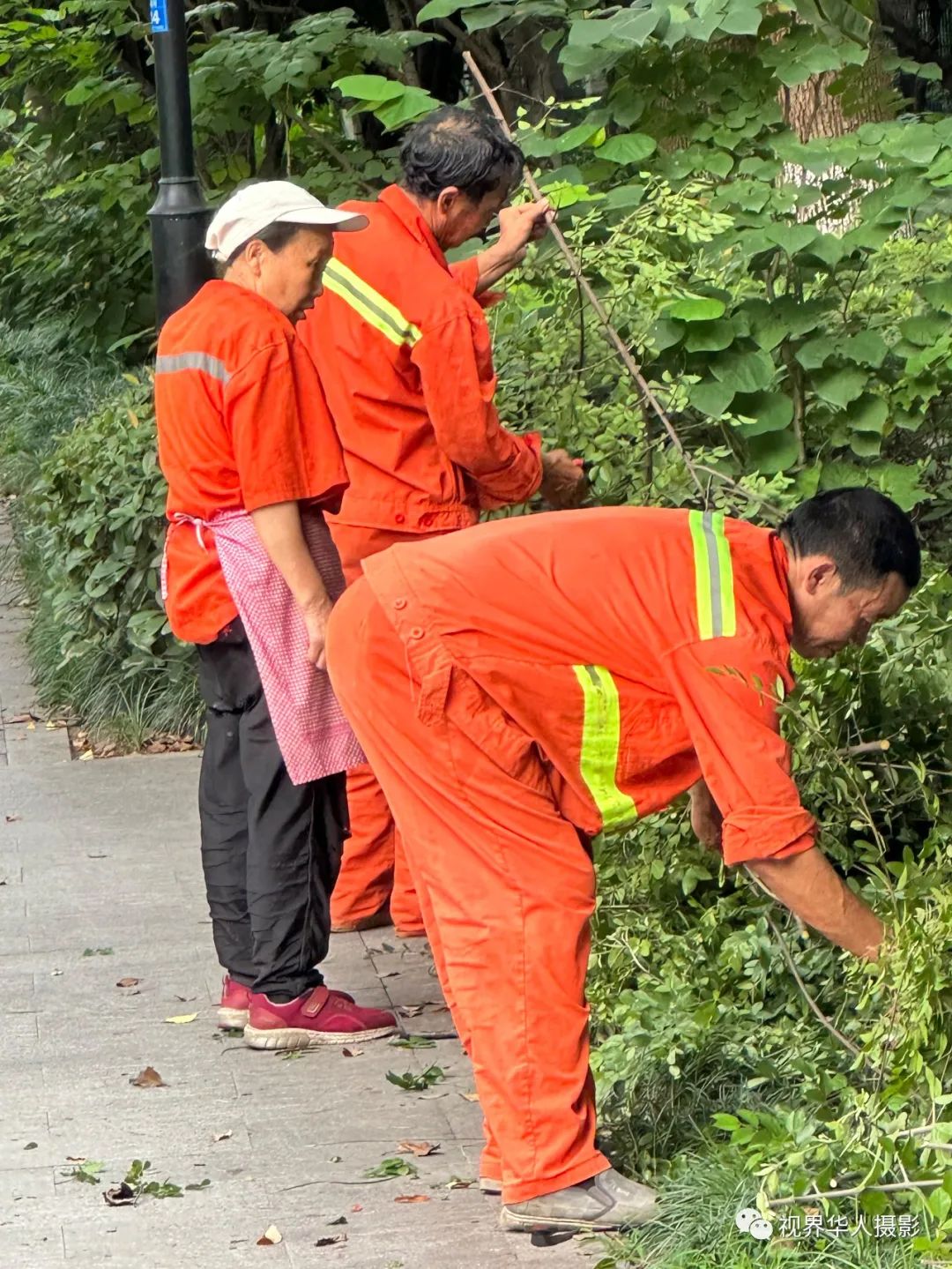 城市美容师:忙碌的身影和多彩的工具(图16) 16.jpg