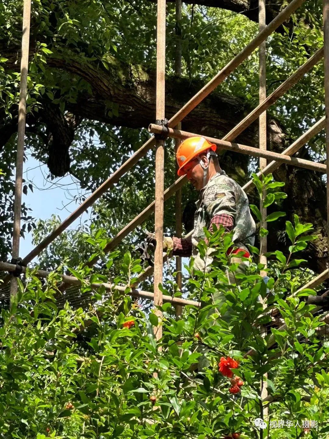 城市美容师:忙碌的身影和多彩的工具(图36) 38.jpg