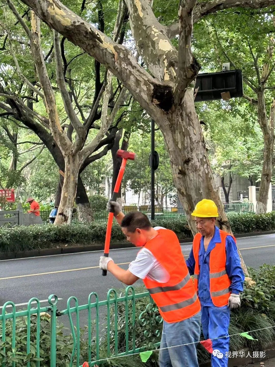 城市美容师:忙碌的身影和多彩的工具(图51) 53.jpg