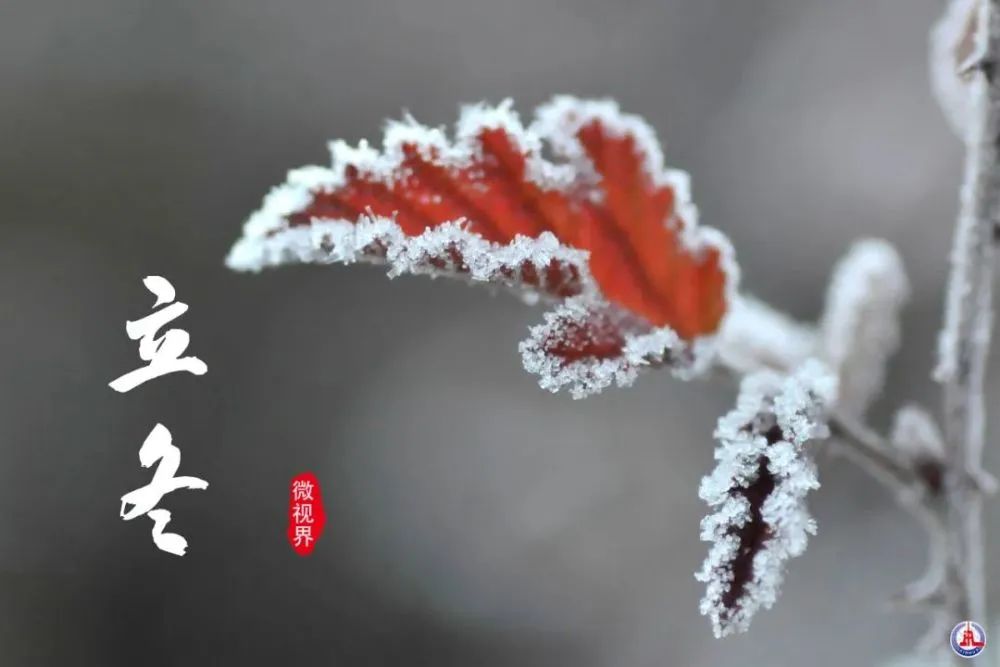 关 于 立 冬 的 24 句 话 !(图13) 22.jpg