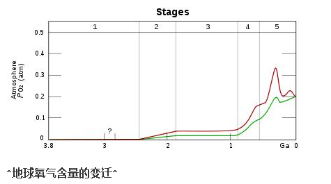 也许氧气是一种慢性毒气 吸入75年以上就会中毒而死!(图1) 14.png