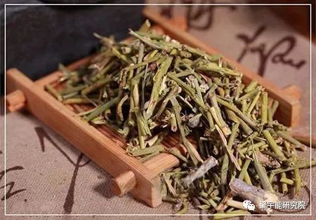 金日光教授:【《黄帝内经》漫谈•之六十二】如何看待支原体基因及肺炎流行和治疗?(图3) 3.jpg