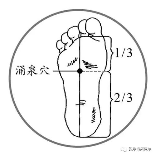 金日光教授:【《黄帝内经》漫谈•之六十四】为什么<人老腿寒,先脚老>?脚真的是<第二心脏>?(图4) 20.jpg