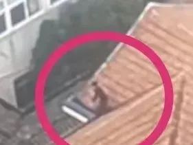 一男子偷功德箱的钱称:菩萨同意的,给我比了"OK"(图2) 19.jpg