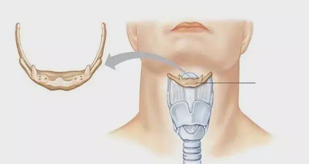 不可思议的15个人体冷知识,你了解自己的身体吗?(图9) 13.jpg