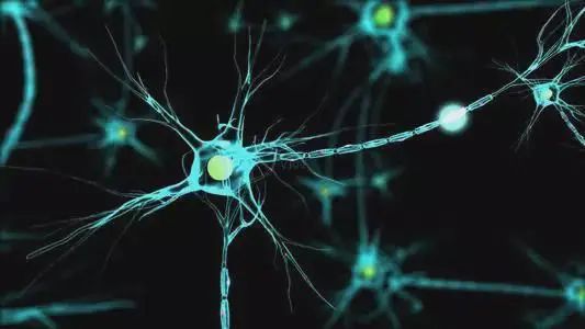 不可思议的15个人体冷知识,你了解自己的身体吗?(图2) 6.jpg